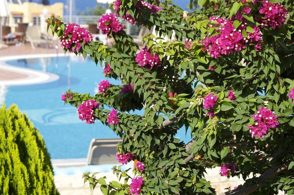 Pilot'S Villas Luxury Suites Hersonissos (Crete) Exterior foto
